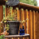 The Top 9 Antiviral Essential Oils