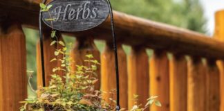 The Top 9 Antiviral Essential Oils