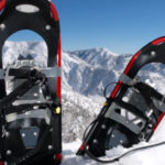 Go Snowshoeing!