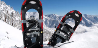 Go Snowshoeing!