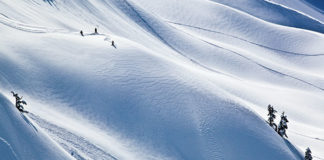 Embrace the Canadian Winter