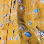 Quick Fit for Tweens and Teens