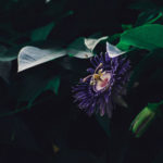 Help For Restless Legs Syndrome