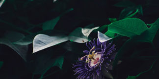 Help For Restless Legs Syndrome