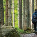 What Neuroplasticity Means for Aging