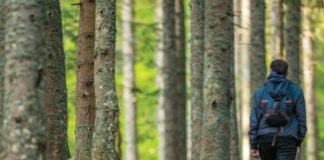 What Neuroplasticity Means for Aging