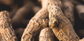 Mesonutrients: The Next Big Nutritional Thing?