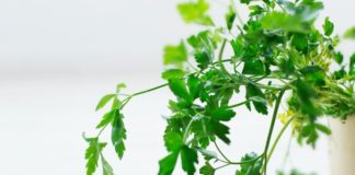 10 Surprising Cancer-Fighting Superfoods