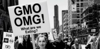 Taking a Stand for GMO Labelling, Regenerative Agriculture, and Nature