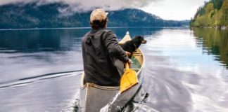 All the Little Ways Having a Pet Benefits Your Health