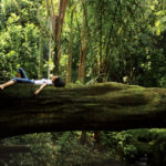 Nature’s Healing Powers