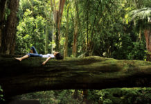 Nature’s Healing Powers