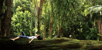 Nature’s Healing Powers