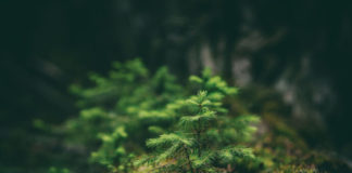 Clothing For People and the Planet