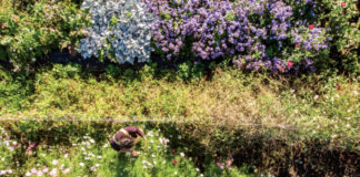 Organic Blooms For Your Beloved