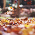 Falling Into a New Routine