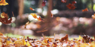 Falling Into a New Routine