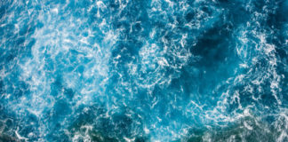 The Blue Planet Blues