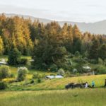 This Is What Modern Farming Can Look Like