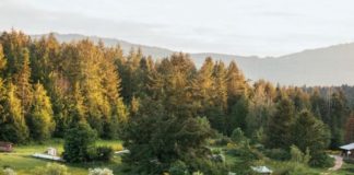 This Is What Modern Farming Can Look Like