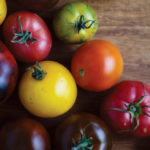 Coast-to-Coast Seed Saving