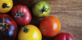 Coast-to-Coast Seed Saving