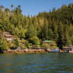 Fighting For Wild Salmon