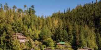 Fighting For Wild Salmon