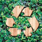 This Is How You Should Actually Be Recycling