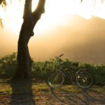 Protect Your Skin and the Environment