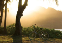 Protect Your Skin and the Environment