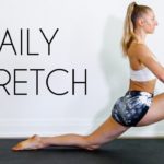 15 min DAILY STRETCH ROUTINE (Full Body Stretch for Flexibility & Mobility)
