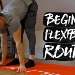 15 Minute Beginner Flexibility Routine! (FOLLOW ALONG)