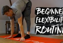 15 Minute Beginner Flexibility Routine! (FOLLOW ALONG)