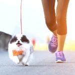 Races You Can Run with Your Dog