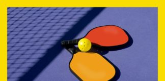 Why Pickleball Should Be Your Next Hobby