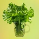 TikTok Users Swear Lettuce Water Helps Them Sleep