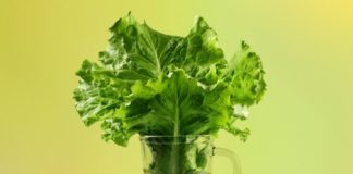 TikTok Users Swear Lettuce Water Helps Them Sleep