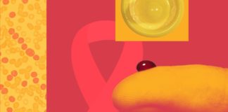 What Everyone Needs to Know About HIV