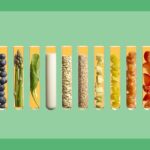 A Guide to the Essential Nutrients — and Why Your Body Needs Them