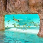 These Incredible Pools Will Make You Want to Swim Some Laps