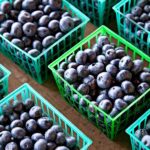 How to Eat Fresh and Local In Michigan