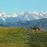 Family-Friendly Fitness Vacation Spots to Hit Before Summer's Over