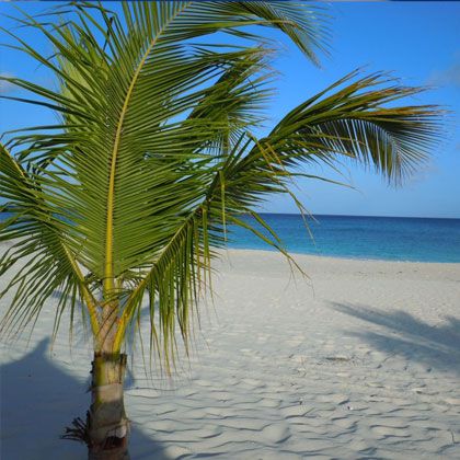 Palm/Eagle Beach, Aruba