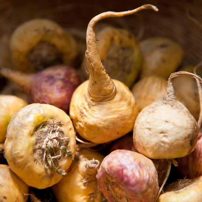 healthy-green-juice-smoothie-ingredients-maca