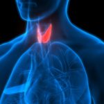 Not Sleeping? Discover if Your Thyroid Could be to Blame
