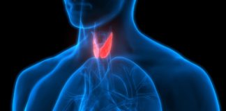 Not Sleeping? Discover if Your Thyroid Could be to Blame