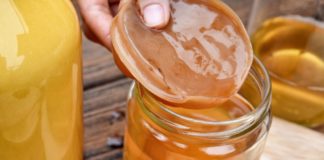 Fermented Frenzy – Is Kombucha Actually Good for You?