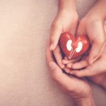 Best Foods to Eat for Kidney Health and Which to Avoid