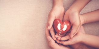 Best Foods to Eat for Kidney Health and Which to Avoid